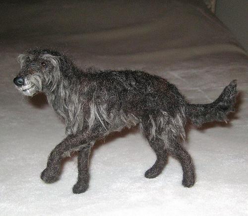Senior dog on bed