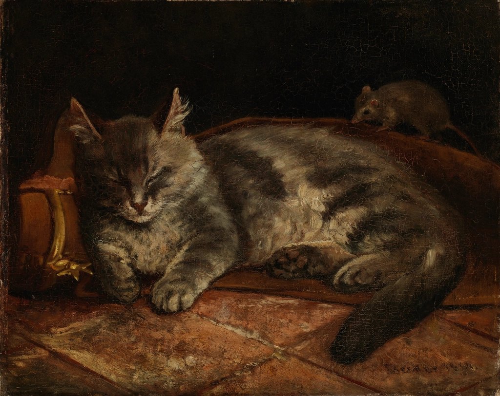 How to Introduce a Kitten to an Older Cat